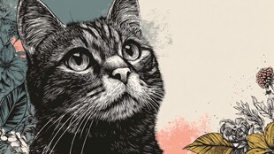 黑猫仰望花卉背景插画