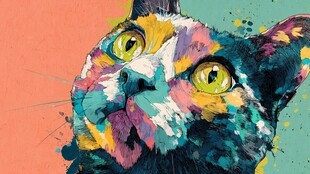 多彩艺术风猫咪头部特写