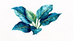 蓝绿斑纹叶片水彩插画