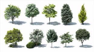 多样树木3D模型集合