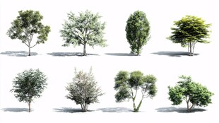 多样树木3D模型展示