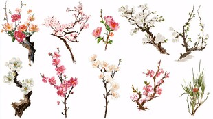 多彩花卉枝头插画素材