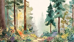 梦幻森林小径的自然美景