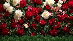 繁花似锦的绚丽花卉景观