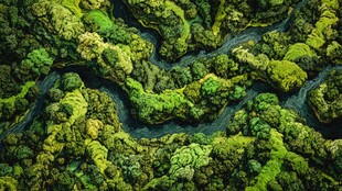 俯瞰葱郁山林间蜿蜒河流