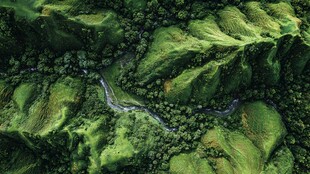空中俯瞰山间蜿蜒翠绿溪流