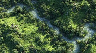 航拍蜿蜒于绿野中的河流