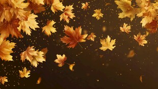 金色秋叶飘落梦幻背景