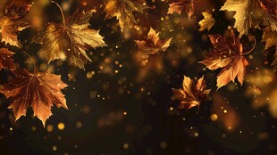 金色秋叶飘落梦幻背景