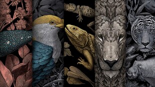 动物主题精美艺术插画