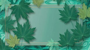 青绿色枫叶边框背景图