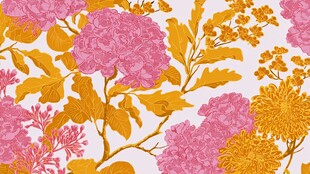 花卉图案 多彩繁花与枝叶