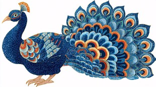 蓝彩孔雀精美图案