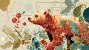 森林中的棕熊与繁茂植物