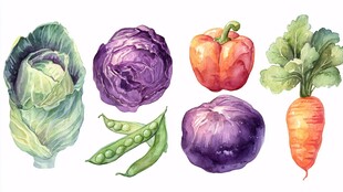 水彩绘多彩蔬菜集合