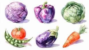 水彩绘多彩新鲜蔬菜集合