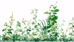 清新绿植水彩画背景