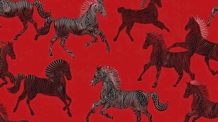 红色背景上奔腾的斑马图案