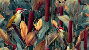 丛林中的鸟儿与多彩植物