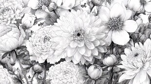 黑白花卉图案 精致细腻