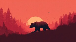 夕阳下漫步的森林之熊