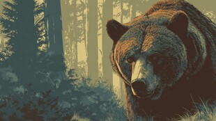 森林中的威严棕熊