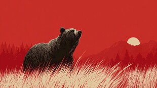 荒野红境中的孤熊