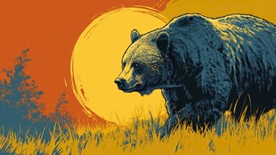 落日下漫步的壮硕黑熊