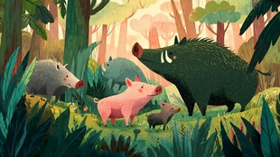 森林中的野猪一家