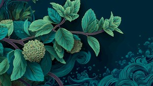 手绘绿叶与球状植物图案