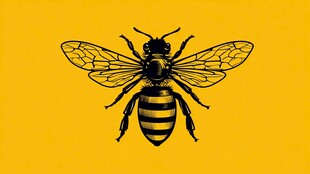 黄色背景上的黑黄条纹蜜蜂
