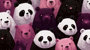 可爱多彩熊类图案集合