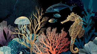 梦幻海底世界海洋生物图景