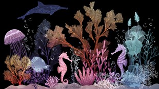 梦幻海底世界海洋生物景观