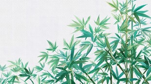 水墨风翠绿竹林背景图