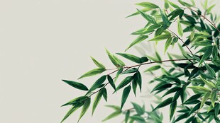 清新翠绿竹叶特写