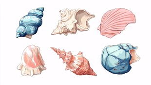 多彩手绘贝壳集合