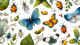 多彩昆虫与绿植插画图案