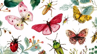 多彩昆虫与植物水彩图案