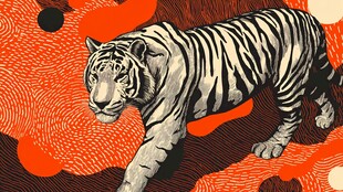 老虎漫步于多彩抽象背景