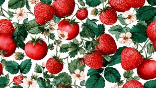 草莓番茄花卉图案背景