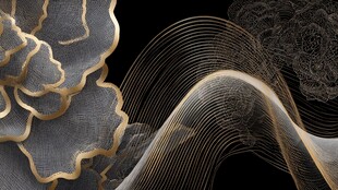黑金线条抽象艺术图案