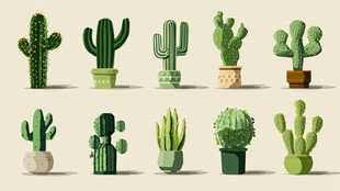 多样仙人掌盆栽插画展示