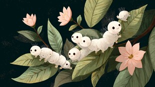 蚕宝宝在花叶间悠然爬行