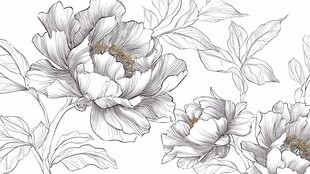 黑白手绘牡丹花图案