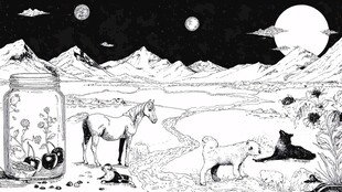 梦幻原野动物月光景象