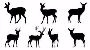 鹿的剪影集合