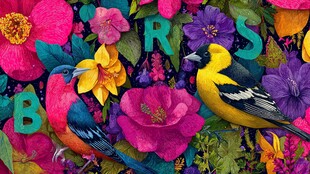 花鸟缤纷图案 色彩绚丽