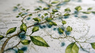 枝叶绘于纸上的艺术画面