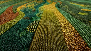 五彩斑斓的田园风光